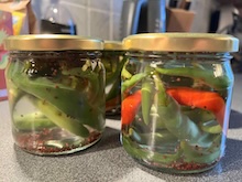 Njut av dina odlade chilifrukter under lång tid utan att de blir gamla.